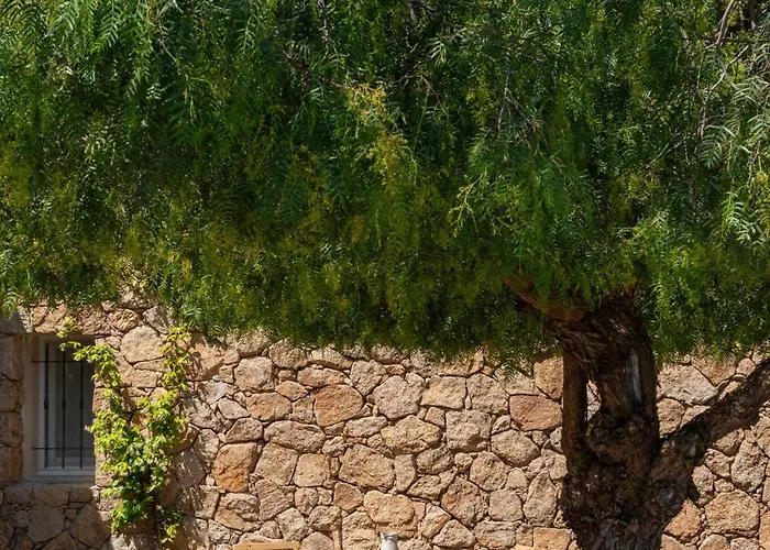 Vista Corsica Saison #2 Vue A Couper Le Souffle לינה וארוחת בוקר